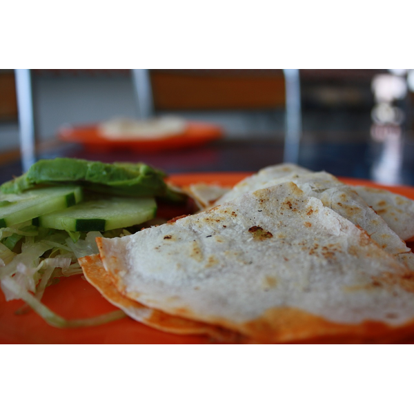 クミタス 読み物 タコス ナチョス トルティーヤの違い